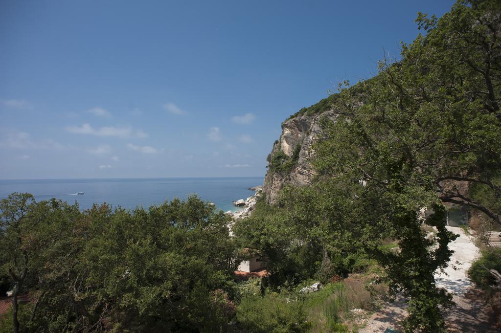 Apartments Villa Simonovic Petrovazzo Esterno foto